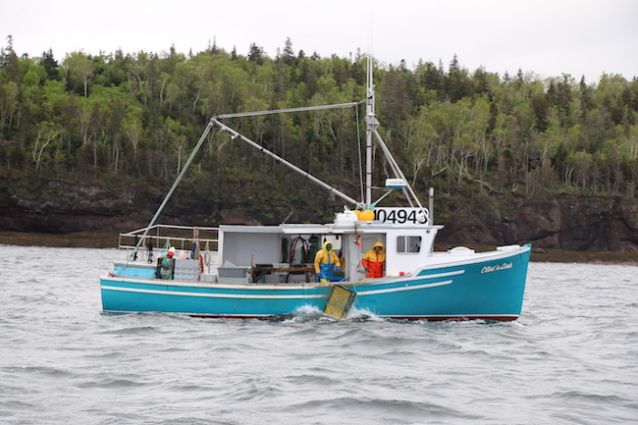 Les pêcheries canadiennes de homards subissent la crise de plein fouet (DG)