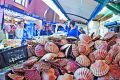 Coquilles Saint-Jacques sur un étal de poissonnerie