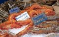 Crevettes de Madagascar sur le marché de l'Alma Paris