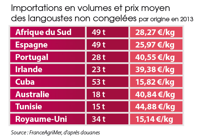 tl_files/_media/redaction/1-Actualites/Marches/2015/2015-05/TendancesLangouste.jpg