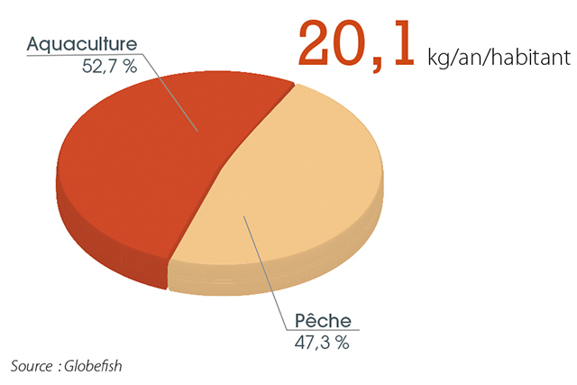 tl_files/_media/redaction/1-Actualites/Marches/2015/2015-08/graphconso.jpg