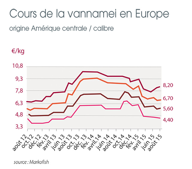 tl_files/_media/redaction/1-Actualites/Marches/2015/2015-09/Graph-Vannamei.jpg