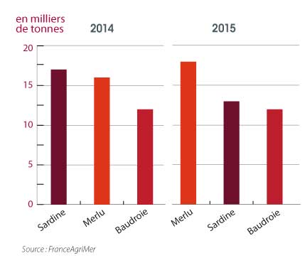 tl_files/_media/redaction/1-Actualites/Marches/2016/2016-03/graph-merlu.jpg