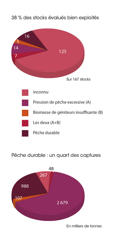 tl_files/_media/redaction/1-Actualites/Marches/2016/2016-06/Graphpechedurable.jpg