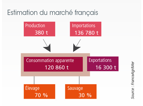 tl_files/_media/redaction/1-Actualites/Marches/2018/201802/graph2-crevetteestimation.jpg