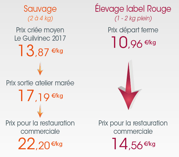 tl_files/_media/redaction/1-Actualites/Marches/2018/201812/graph_turbot.jpg