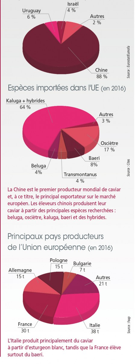 tl_files/_media/redaction/1-Actualites/Marches/2019/201902/graph-caviar.jpg