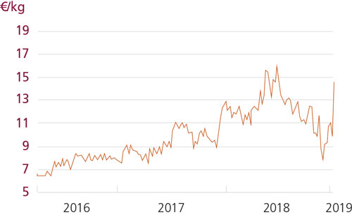 tl_files/_media/redaction/1-Actualites/Marches/2019/201905/graph_poulpe.jpg