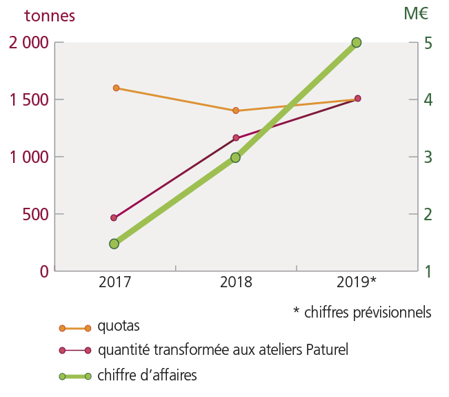 tl_files/_media/redaction/1-Actualites/Marches/2019/201907/graph concombre.jpg