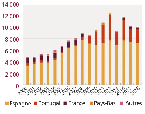 tl_files/_media/redaction/1-Actualites/Marches/2019/201907/graph-turbot.jpg