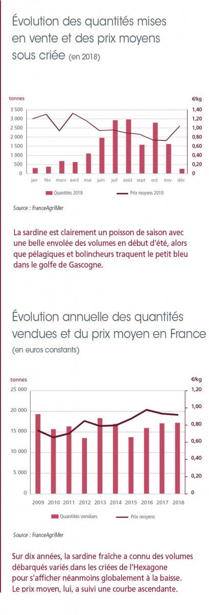 tl_files/_media/redaction/1-Actualites/Marches/2019/201911/graph-sardine.jpg