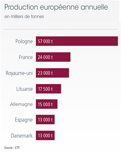 tl_files/_media/redaction/1-Actualites/Marches/2019/201912/DR_graph-production_europeenne_annuelle.jpg