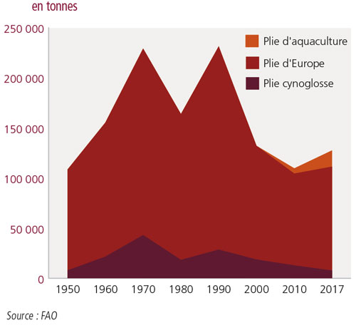 tl_files/_media/redaction/1-Actualites/Marches/2020/202002/graph-plie2.jpg