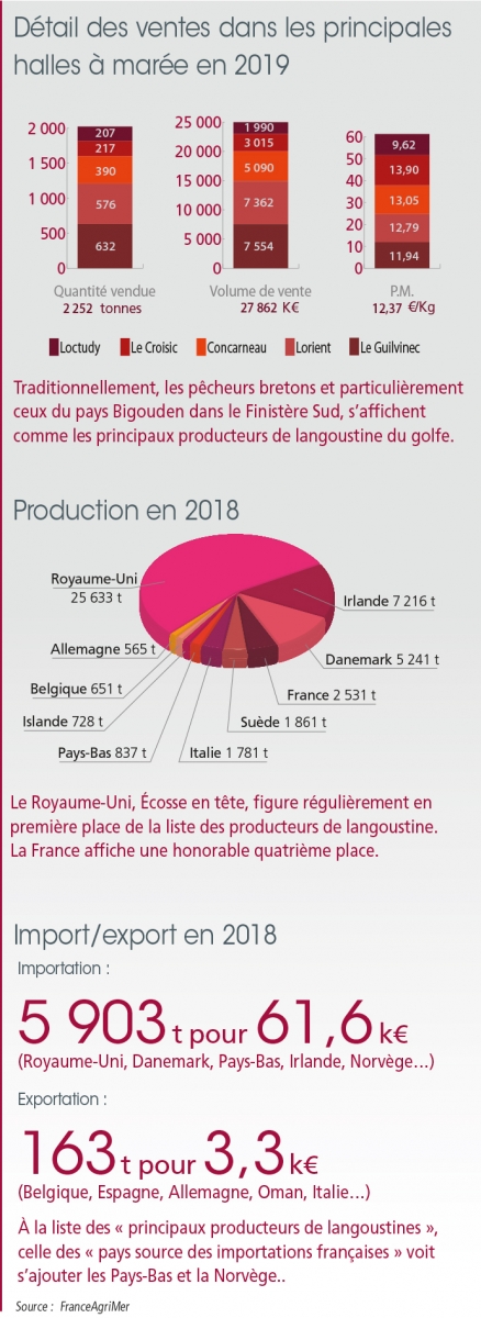 tl_files/_media/redaction/1-Actualites/Marches/2020/202008/graph_langoustinesept.jpg