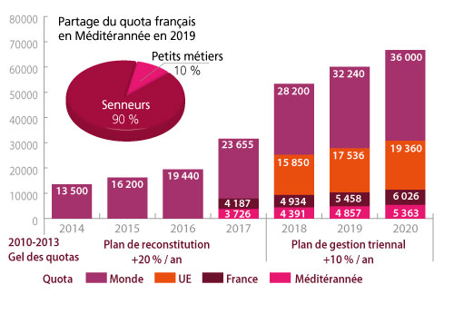 tl_files/_media/redaction/1-Actualites/Marches/2020/202008/graph_thonrougesept.jpg