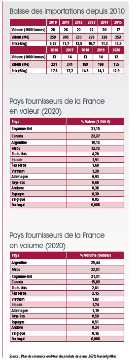 tl_files/_media/redaction/1-Actualites/Marches/2021/décembre/Saint-Jacques.JPG