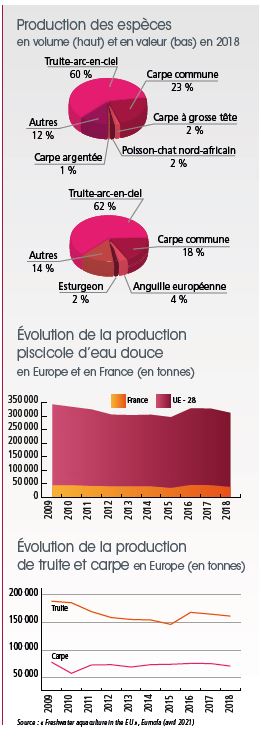 tl_files/_media/redaction/1-Actualites/Marches/2021/septembre/Tendance_truite_graphiques.JPG