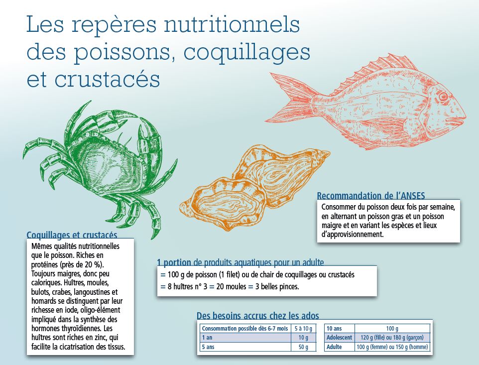 tl_files/_media/redaction/1-Actualites/Sciences-et-Techniques/2021/décembre/Infographie_crustacés.JPG