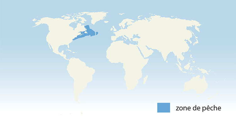 tl_files/_media/redaction/8-Guide-des-especes/Poissons/limandequeuejaune_carte.jpg