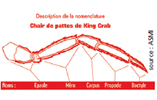 tl_files/_media/redaction/8-Guide-des-especes/crustaces/craberoyal_sur_le_marche.jpg